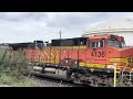 Railfaning Port of LA on 9/14/23 ft. Hornshows,FXE,CP,BNSF,UP,and much more