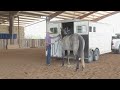 Trailer load any horse FAST | Full length training session!