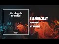 Tee Grizzley - How Many [Official Audio]