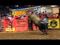 Wilfong Bucking Bulls Buck Stomp Jarred Allen's Pro Bull Team