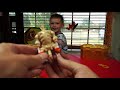 Father and Son Unboxing Treasure X Kings Gold Hunter Mystical Beast Dig and Discover Moose Toys