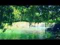 Amazing Waterfall with Beautiful Nature Sounds - Birds Chirping, Flowing Water Sound,Relaxation,ASMR