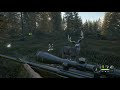 theHunter  Call of the Wild Diamond Whitetail and Blacktail