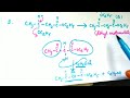 Mechanism of the reaction between ethyl acetate and sodium ethoxide followed by acidification