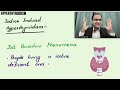 Hyperthyroidism, Graves Disease, Symptoms, Diagnosis, Wolff Chaikoff Effect, Medicine Lecture, USMLE