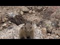 Glacier Gorge, Rocky Mountain National Park, Colorado, USA  [Amazing Places 4K]