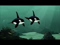 Deep Sea Creatures | Crabs, Shrimps and More | Wild Kratts | 9 Story Kids