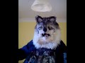 Edwolf sings the German national anthem (in German!)