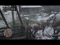 Wtf is going on in red dead online?!