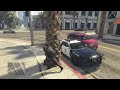 Cop chase GTA Online