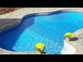 ✅ Pool Vacuum Buying Guide [2024]