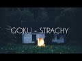 GOKU - STRACHY ( Official Music Video 2024 )