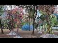 The Ayala Triangle Gardens; Makati, Philippines (episode 1)