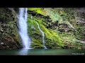 1 Hour Relaxing Nature Sounds for Stress Relief and Sleep - Calming Waterfall and Birds Chirping