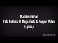 Malome Vector - Pelo Bohloko Ft Mega Hertz & Kopper Waleh(Official Lyric Video)