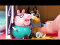Peppa Pig e Bluey vão acampar! Vídeo Educativo Engraçado para Crianças!