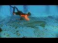 Aquarius: Freediving the Dream - The Amazing Dives of the World