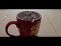 Cute little pokemon chilling in a cup