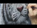 My New Approach to Painting Fur