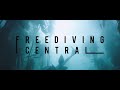 What Happens on a Freediving Course