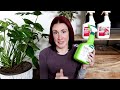 Which pest sprays ACTUALLY work? | Houseplant Pest Control