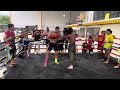Buakaw Brutal Sparring Session
