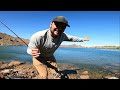 Shore Fishing Arizona’s Lake Havasu! - Multispecies