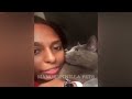 Funniest Cats 😂😆 Best Funny Animal Videos 2024 😅