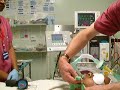 ~Tulip airway video of use - uninflated insertion