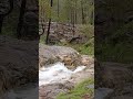 Monsoon #rain #monsoon #weather #mountains #waterfall #river #views #nature #viral #shorts #short