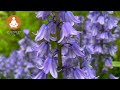 The Best Soothing Relaxation Piano, Deep Sleep Relaxing Music Meditation Music For Stress Relief,