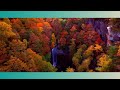 Groove To The Ultimate Jazz Chillout Playlist | Chill | Deep Focus Study