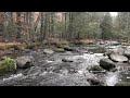 Babbling Brook ASMR - 1080P HD