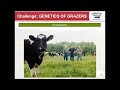 Making Ultra-High Forage Rations Work - Dr. Silvia Abel-Caines