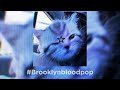 •~#Brooklynbloodpop~• Sped Up //Stvrlight//