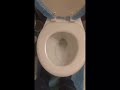 Flushing the plastic bird down the toilet