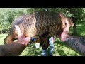 Fishing the Bowfin hole + A trip to the river lands 15 pound carp