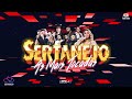 SERTANEJO 2024 | MUSICAS MAIS TOCADAS 2024 🔥 MELHORES MÚSICAS DO MOMENTO 2024 (MIX MAIS OUVIDAS)