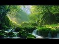 Relaxing Sounds of Flowing Water & Birds Singing: Relaxing Nature Sounds, Relaxation, Deep Sleep