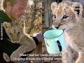 The Heartwarming Journey of a Man and an Abandoned Lion Cub