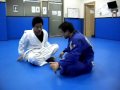 korea jiujitsu johnfrankl bjj ratel yellow