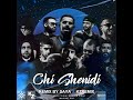 Hichkas x Ho3ein x Shayea x Pishro x Sohrab MJ x Khalvat x Fadaei x Quf - Chi Shenidi (Saya Remix)