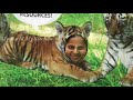 Bannerghatta National Park part 1 | Bannerghatta Biological Park Bangalore Zoo 2021 | Jungle Safari