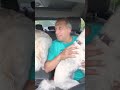 Joe Gatto-Traffic Cam 80