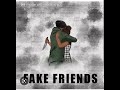 FAKE FRIENDS