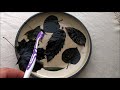 2 Easy Methods. Homemade Skeleton Leaves for Art and Science