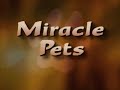 Miracle Pets w/Alan Thicke