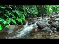 4K - Relax well with gurgling water - nature sound for relaxing - ASMR