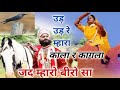 रामदेव जी का भजन | उड़ उड़ रे | Ramdev Ji Ka Rajasthani Bhajan | Bhajan Bandgi 2654