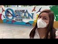 Manila Ocean Park 2022 | Luneta, Manila | 8 Attractions | Penguin Feeding | Schedule | Entrance Fee